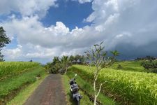 Cuaca Bali Hari Ini: BMKG Prediksi Hujan Mereda, Ayo Beraktivitas! - JPNN.com Bali