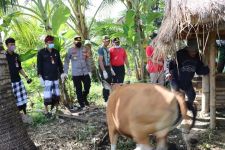 Tabanan Zona Hijau PMK, Satgas Gencar Beraksi, Lihat Respons AKBP Ranefli - JPNN.com Bali
