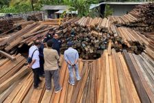 Proyek Penataan Mangrove Tahura Bali Pakai Kayu Sitaan, Lihat Tuh Buktinya - JPNN.com Bali