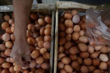Disperindag Bali Merespons Kenaikan Harga Telur di Pasar, Sentil Biaya Pakan Ternak - JPNN.com Bali