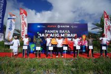 Petani Bawang Merah Kintamani Semringah, Panen Naik 41 Persen, Ternyata - JPNN.com Bali