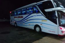 Jadwal Lengkap Bus AKAP Bali – Jawa Senin 16 Januari 2023, Cek di Sini - JPNN.com Bali