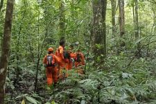 Satra Hilang Tanpa Jejak di Hutan Tabanan Bali, Tim SAR Bikin Keputusan Besar - JPNN.com Bali