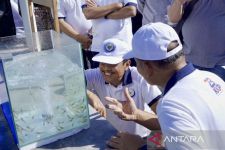 NuSa Dewa Produksi Bali Lebih Unggul, Indonesia Target 2024 Setop Impor Udang - JPNN.com Bali