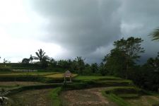 BMKG Denpasar Rilis Warning: Waspada Hujan & Angin Kencang di Bali Sampai Besok - JPNN.com Bali