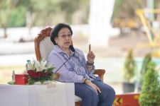 Megawati Bongkar Kronologi Jokowi Utus Wishnutama Bangun Bandara Bali Utara, Terungkap - JPNN.com Bali