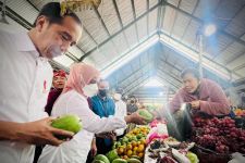Jokowi Cek Harga di Pasar Baturiti Bali, Sentil Kenaikan Harga Minyak Goreng - JPNN.com Bali
