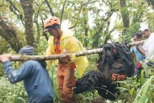 Detik-detik Warga Pecatu Tewas saat Mendaki Gunung Abang, Fakta Mengejutkan Terungkap - JPNN.com Bali