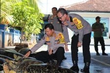 BKSDA Bali: Penyu Hijau Langka Milik Tersangka Made Japa Berusia 10 – 50 Tahun - JPNN.com Bali