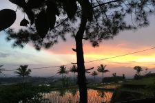 Strategi Pensiun dengan Biaya Hidup Murah, Yuk Beli Tanah di Karanganyar Jawa Tengah - JPNN.com Bali