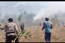 Lereng Gunung Agung Bali Terbakar, Dominan di Kawasan Hutan Lindung - JPNN.com Bali