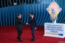 Indonesia Siapkan Dana Hibah, Jokowi Tegaskan Komitmen untuk Negara Berkembang - JPNN.com Bali