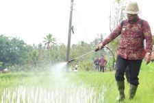 Pj Gubernur Bali Bagikan 300 Dus Pupuk Hayati Cair, Pesannya ke Petani Tegas - JPNN.com Bali