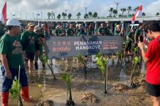 Semarak Dies Natalis UGM, Alumnus di Bali Tanam Ribuan Bibit Mangrove - JPNN.com Bali
