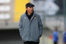 Piala Asia 2023: Shin Tae yong Janji Timnas Indonesia Tampil Agresif Kontra Irak - JPNN.com Bali