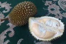 Buleleng Menggelar Pesta Durian Munduk Bestala, Besok Hari Terakhir, Gas! - JPNN.com Bali