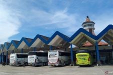 Kendaraan Barang Tolong Jangan Nekat Parkir di Terminal Mengwi Bali, Respons BTPD Tegas - JPNN.com Bali
