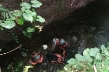 Hilang 2 Hari, Kakek Nyoman Santra Ditemukan Tewas di Jurang Desa Petandakan Buleleng - JPNN.com Bali