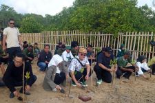 Kader PKB Tanam Mangrove Menjelang Muktamar di Tahura Tanjung Benoa - JPNN.com Bali