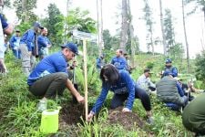 Pertamina Bikin Hijau Desa Besakih Karangasem, Reboisasi Kaki Gunung Agung Bali - JPNN.com Bali