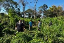 Pawang Bali Safari Tewas Diseruduk Gajah, Begini Kronologinya Versi Saksi Mata, OMG! - JPNN.com Bali