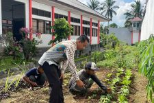 Rutan Bangli Terus Berinovasi, Manfaatkan Brangang Untuk Tanam Ubi & Sayur - JPNN.com Bali