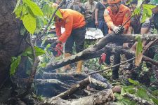 Satu Korban Tanah Longsor di Klungkung Bali Ditemukan Meninggal, Amor Ring Acintya - JPNN.com Bali