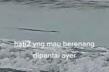 Heboh, Makhluk Besar Muncul di Pantai Anyer - JPNN.com Banten