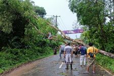 Pohon Tumbang Menimpa Kabel Listrik di Lebak, Ada Percikan Api - JPNN.com Banten