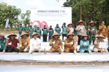 TPID Kota Serang-Bank Indonesia Tanam Cabai di Lahan 2 Hektare - JPNN.com Banten