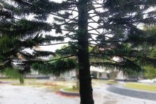 Yang Mau Keluar Rumah di Hari Libur, Jangan Lupa Simak Prakiraan Cuaca - JPNN.com Banten