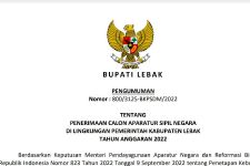 Kabar Gembira, Daerah Ini Sudah Buka Pendaftaran PPPK - JPNN.com Banten