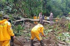 Akses dari Serang ke Anyer Tertutup Longsor & Pohon Tumbang - JPNN.com Banten