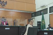 Alasan Hakim Menolak Penangguhan Penahanan Nikita Mirzani - JPNN.com Banten