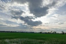 Prakiraan Cuaca Hari Ini di Banten, Ada Potensi Hujan Lebat, Petir, dan Angin Kencang - JPNN.com Banten