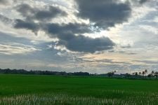 Prakiraan Cuaca Hari Ini di Banten, BMKG: Ada Potensi Hujan Lebat dan Angin Kencang - JPNN.com Banten