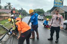 Akibat Cuaca Ekstrem 7 Tiang Listrik di Jalur Wisata Pantai Anyer Roboh Menutup Jalan - JPNN.com Banten