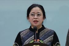 Respons Puan Maharani Seusai NasDem Pilih Ganjar Pranowo Sebagai Capres 2024 - JPNN.com Sultra