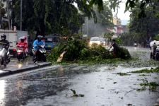 Cuaca Jawa Tengah: Potensi Hujan Lebat Disertai Petir Terjadi di 4 Daerah, Hati-hati - JPNN.com Jateng