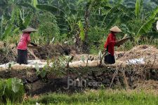 Hadapi Kemarau, Dinas Pertanian Lebak Siagakan Ratusan Pompa Air - JPNN.com Banten