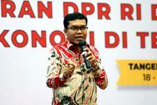 Celeng Vs Banteng, Ipang: Ganjar Diuntungkan, PDI Perjuangan Dirugikan  - JPNN.com