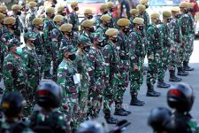 Perlu Keputusan Politik Negara saat Pemerintah Mau Melibatkan TNI Urus Pangan - JPNN.com