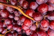 5 Manfaat Anggur yang Luar Biasa, Wanita Pasti Suka - JPNN.com Jabar