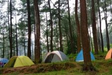Tak Hanya Mawar Camp, 3 Lokasi Berkemah ini Juga Patut Dijajal saat ke Gunung Ungaran - JPNN.com Jateng