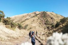 Gunung Merbabu via Selo Dibuka 5 Maret, Catat Syaratnya Lur! - JPNN.com Jateng