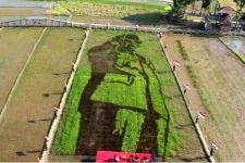 Penampakan Gambar Soekarno di Sawah, Anda Mungkin Berdecak - JPNN.com Jateng