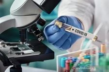 Atasi Mutasi Covid-19, Ilmuwan Oxford Bikin Vaksin Anyar - JPNN.com Jatim
