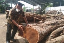 DLH Tulungagung Tebang Pohon di Kawasan Jalan Nasional Hindari Aksi Pencurian - JPNN.com Jatim