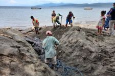 KKP Kubur Bangkai Seekor Paus Orca yang Mati di Banyuwangi - JPNN.com Jatim