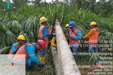 Aliran Listrik di Gunung Wilis Tulungagiung Mati Total akibat Longsor - JPNN.com Jatim